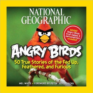 Angry-Birds-Book